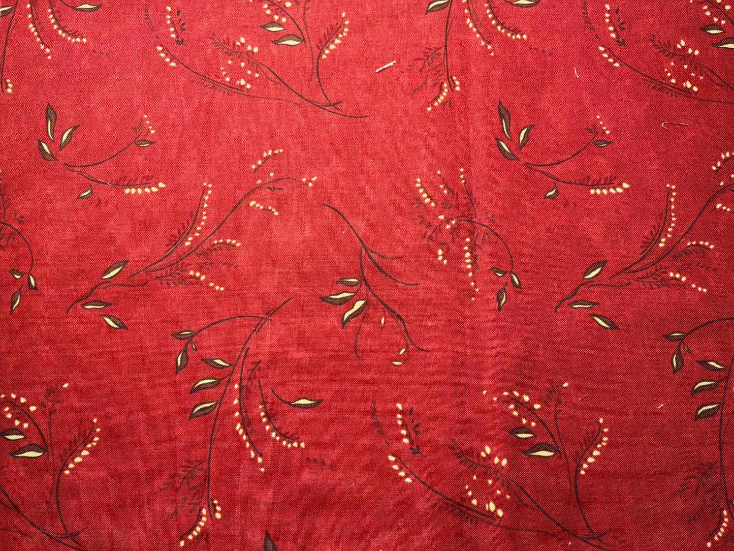 Sunrise Sunset Vine Toss – Moda Fabrics 1 yard Cut