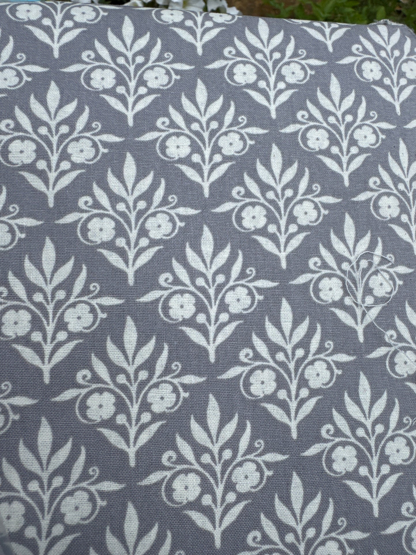 Sweet Scroll — Grey | Emma & Mila