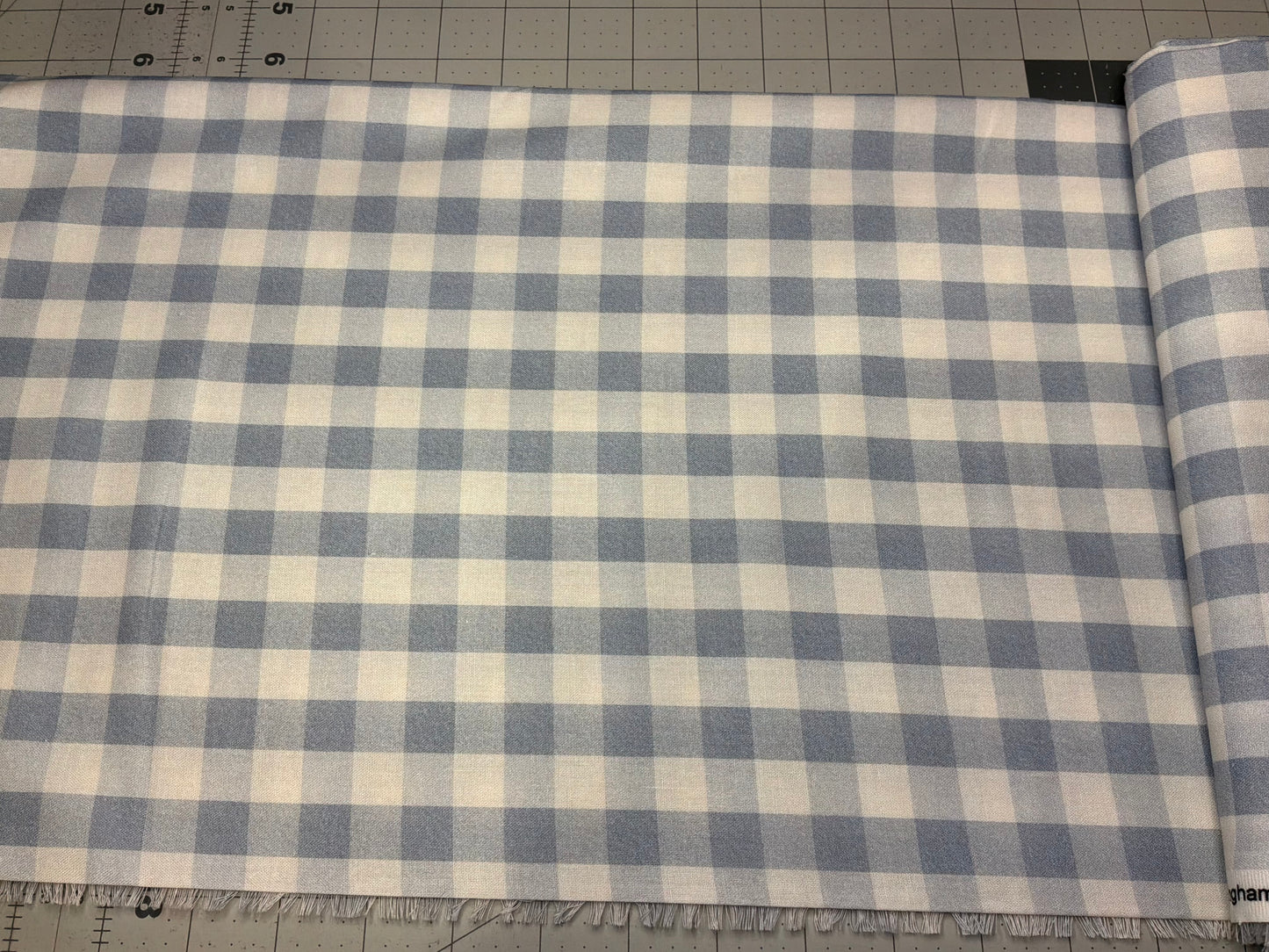 Springs Creative Blue Gingham