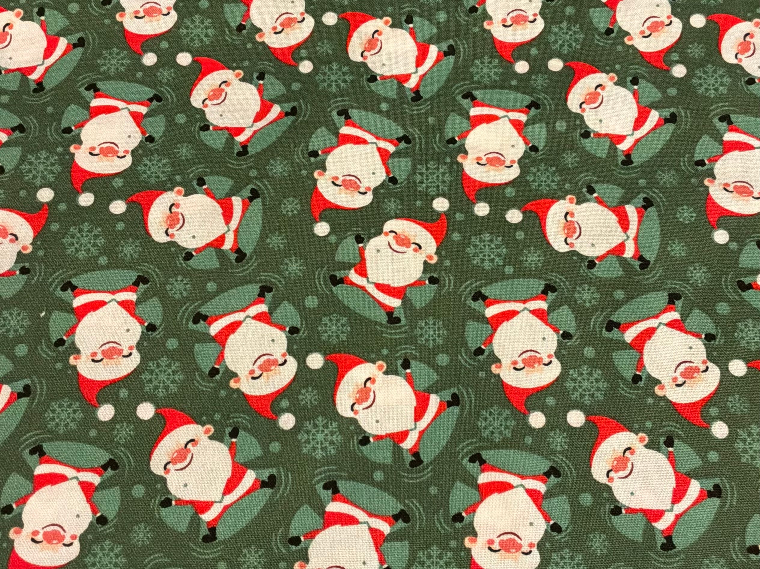 MDG Whimsical Santa