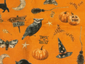 Trick or Treat  1/4 yard End of Bolt