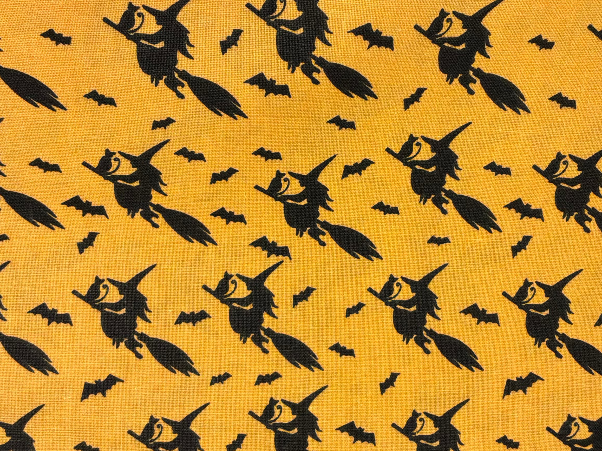 MDG Midnight Witch Flight