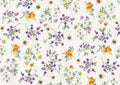 Spring Bee floral on cream