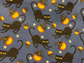 Mdg Black Cat Moonlight