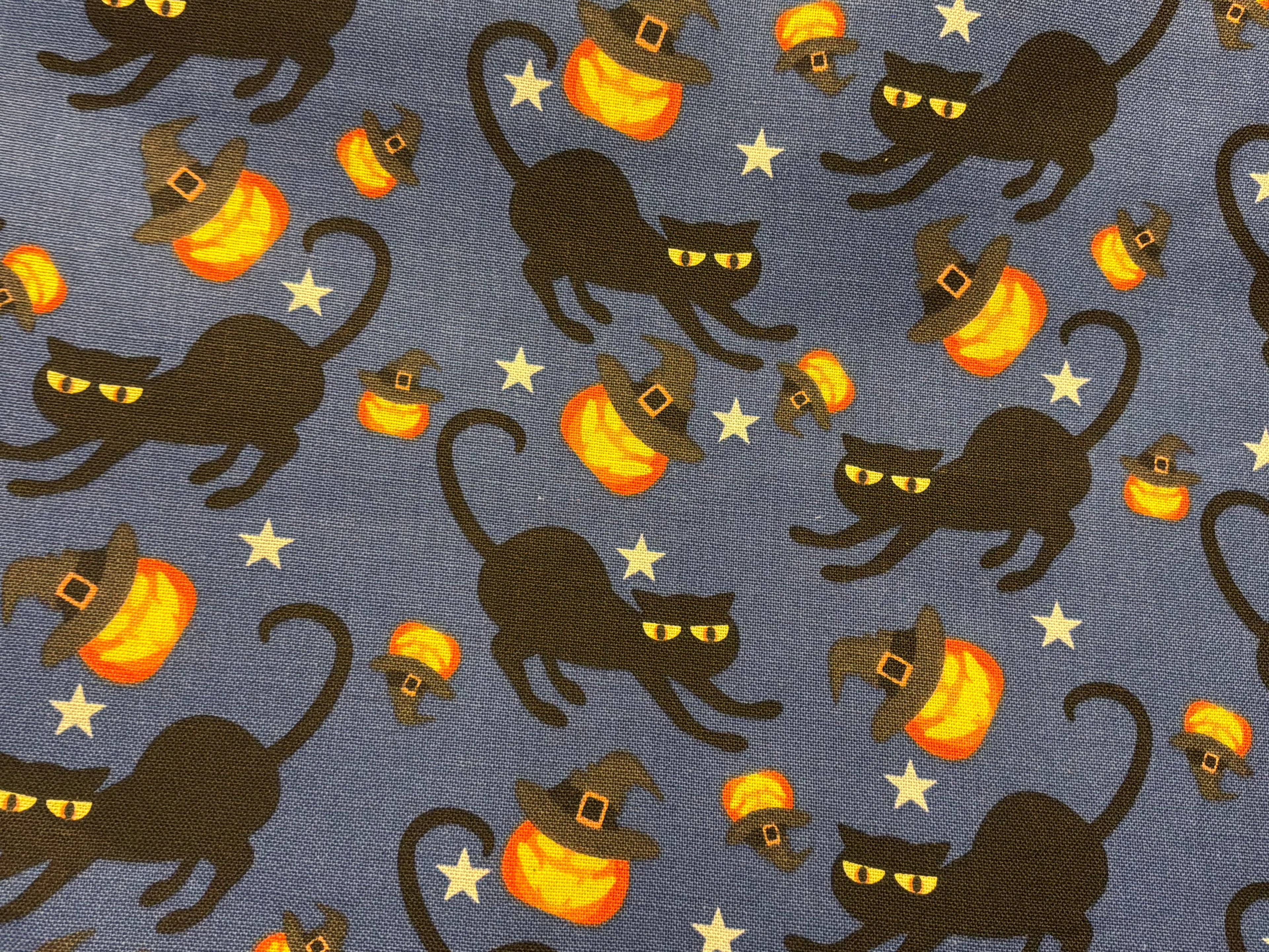 Mdg Black Cat Moonlight