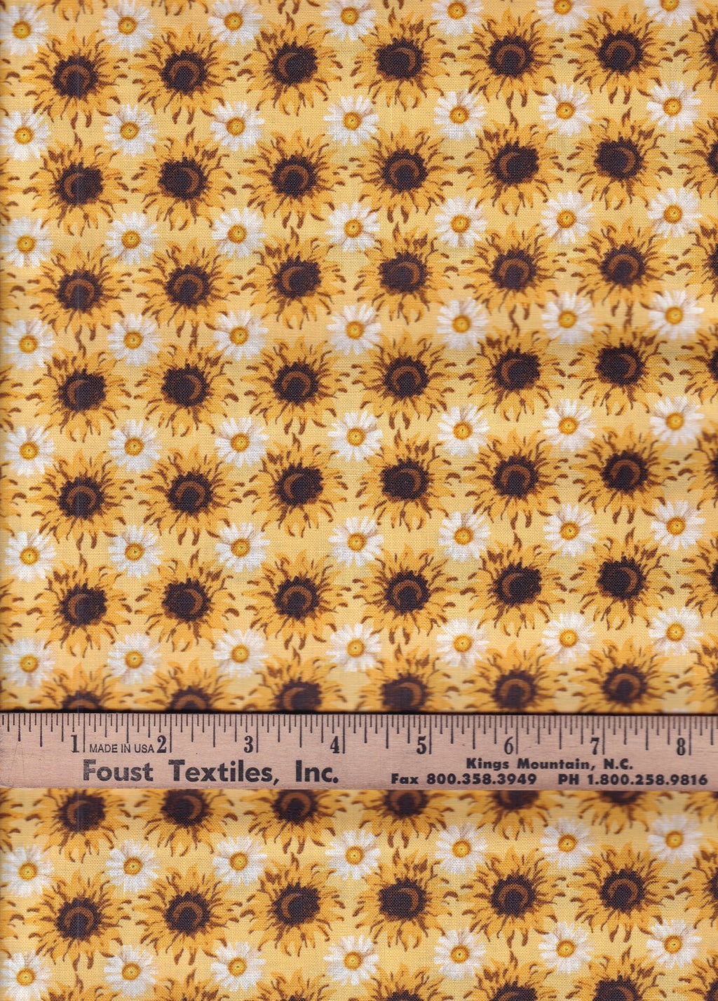 Sunflower Sunshine