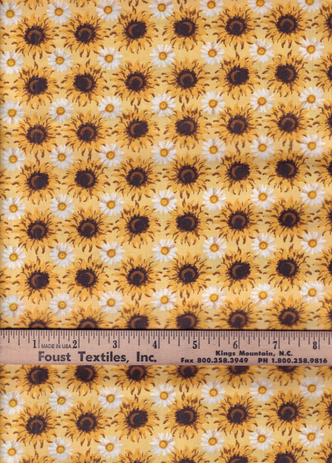 Sunflower Sunshine
