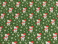 MDG Santa Bear Green