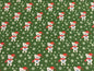 MDG Santa Bear Green