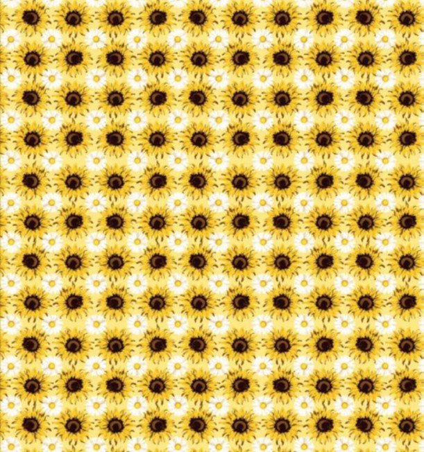 Sunflower Sunshine