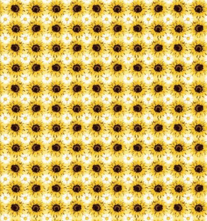 Sunflower Sunshine