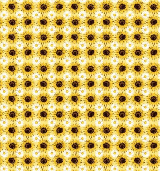 Sunflower Sunshine