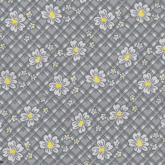 Marshall Dry Goods Gray Daisy Lattice Calico