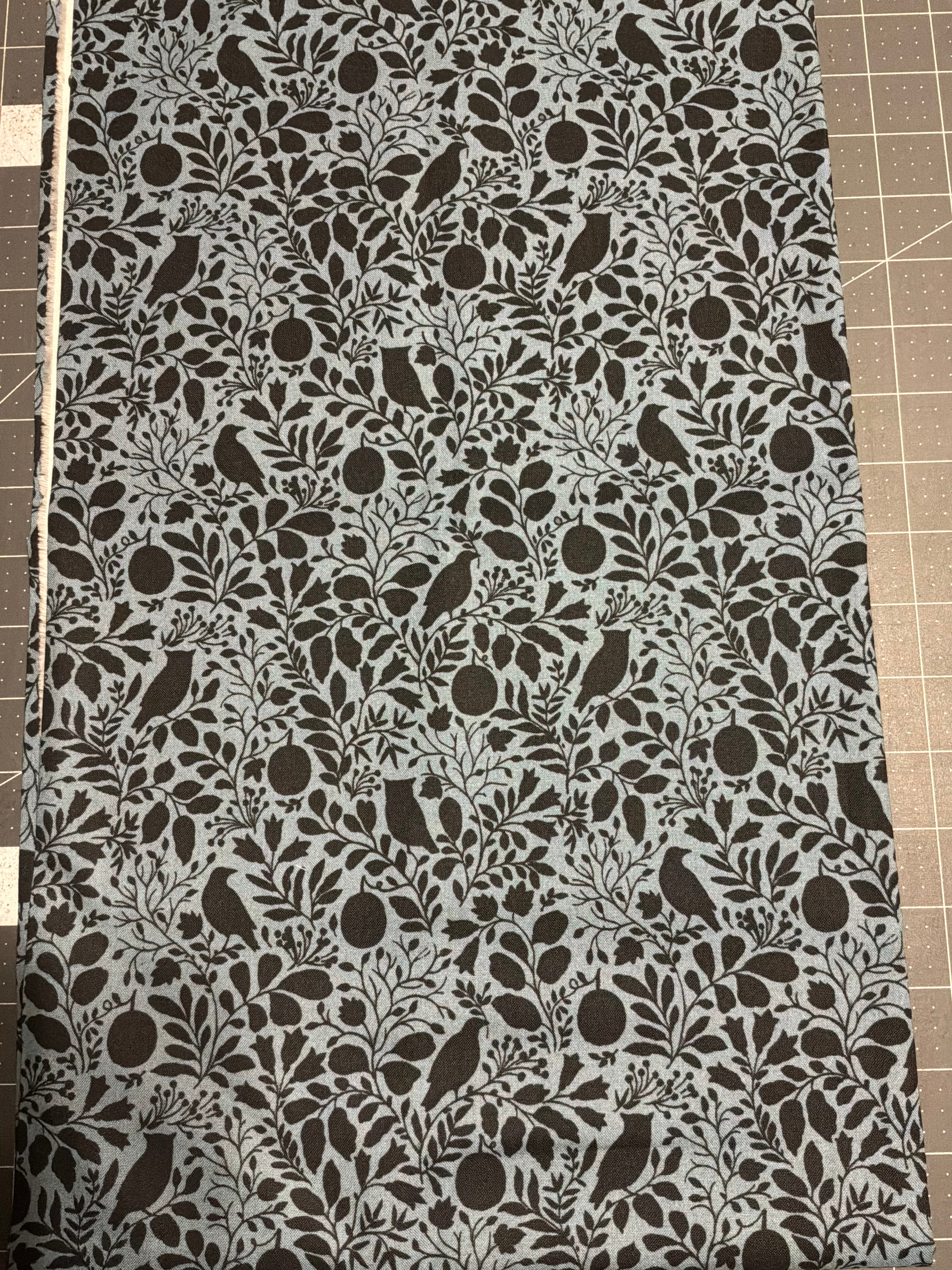 Trick or Treat 1 yard cut