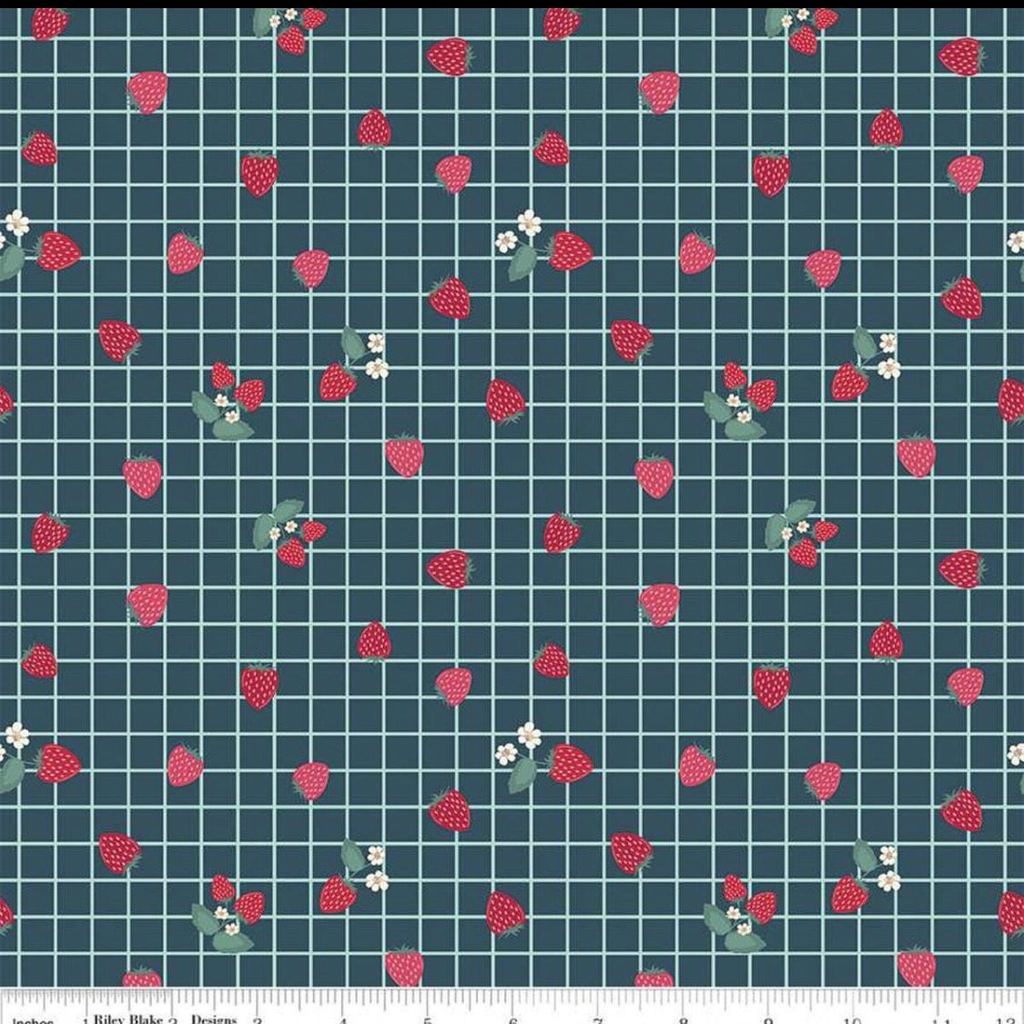Riley Blake Berry Market Gingham