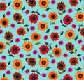 Sunflower Toss Aqua-For the Love of Sunflowers