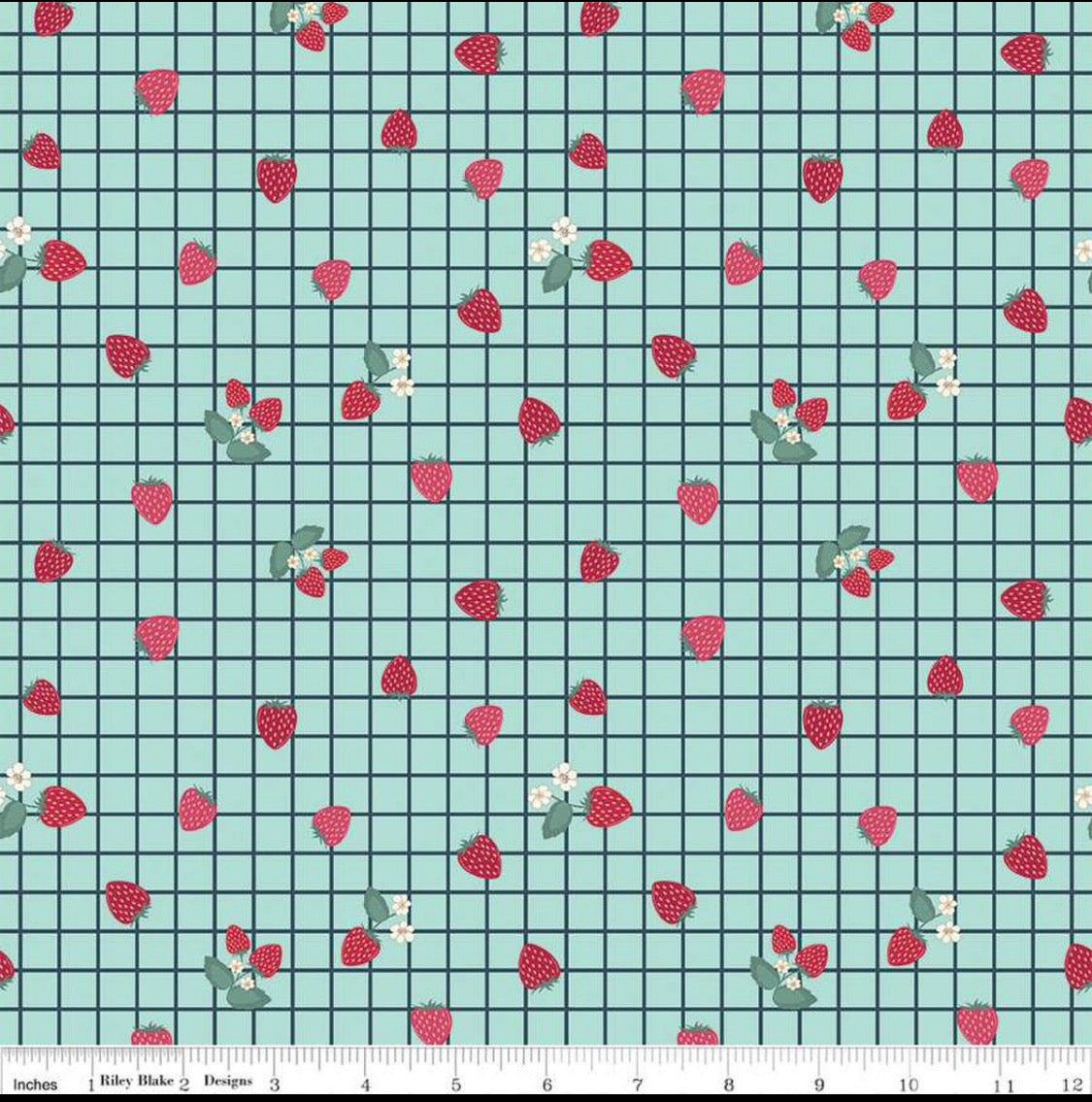 Riley Blake Berry Market Gingham light Blue-3/4 yard end of bolt