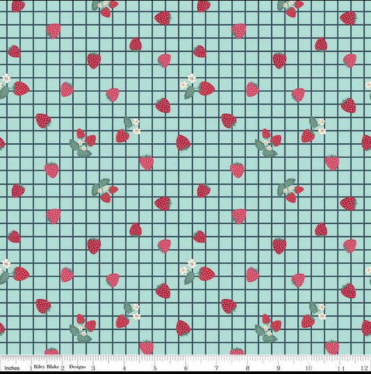 Riley Blake Berry Market Gingham light Blue-3/4 yard end of bolt