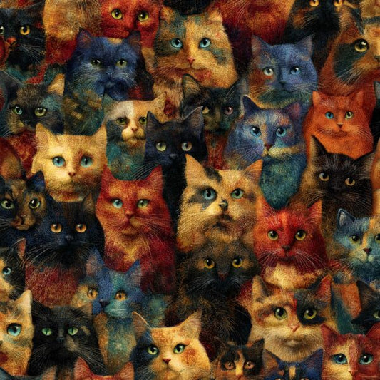 MDG Mystery Cats