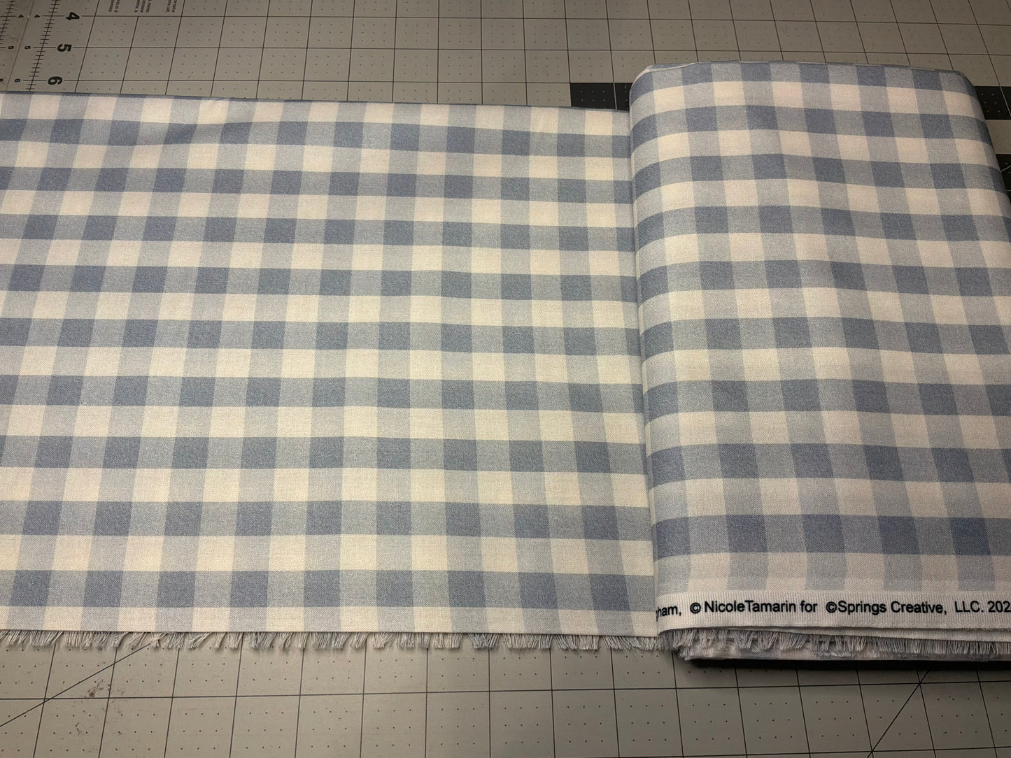Springs Creative Blue Gingham