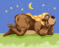 Barron the Bear