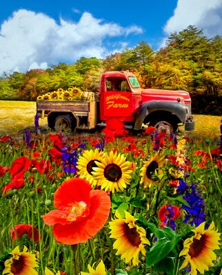 RECLAIMED Sunflower Truck Panel DT