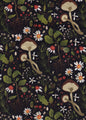 Woodland Mushrooms